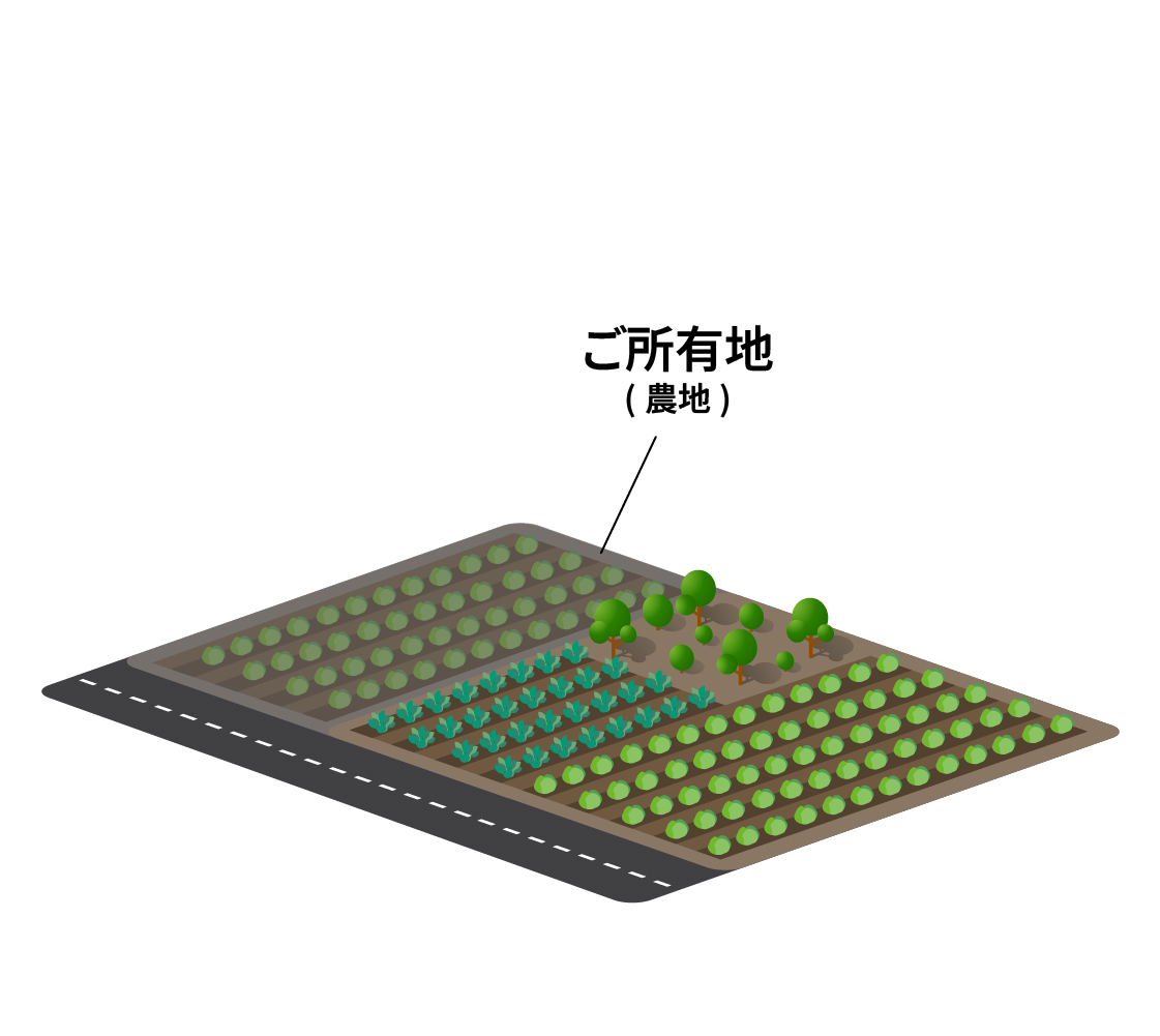 所有している広大な農地。