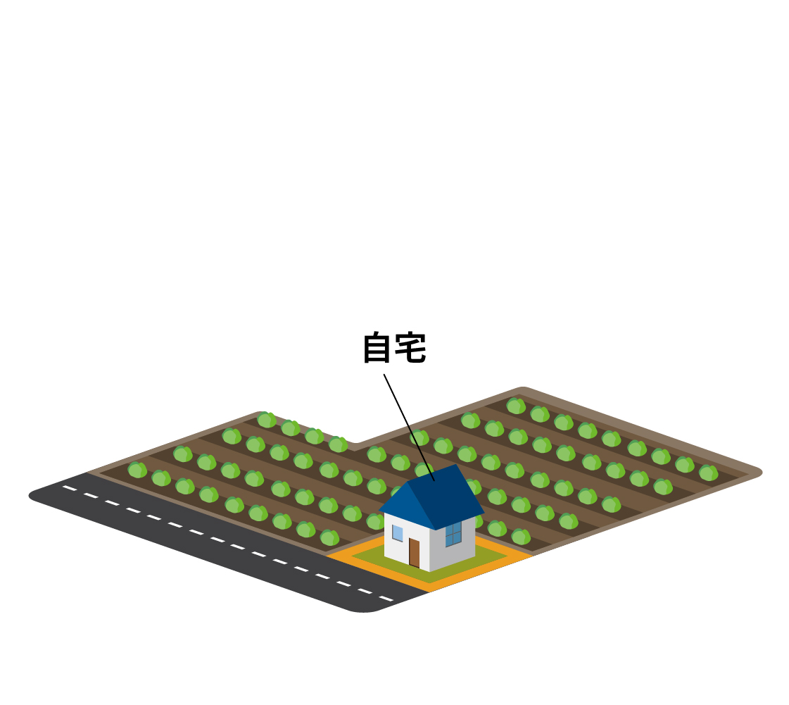 築年数の経過した自宅と農地。